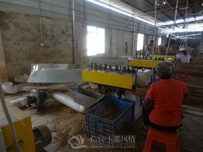 信宜市竹發制品廠 傳統工藝與現代科技融合的典范