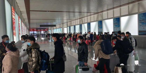 專列載夢啟程，畢節609名務工人員赴廣州開啟新篇章